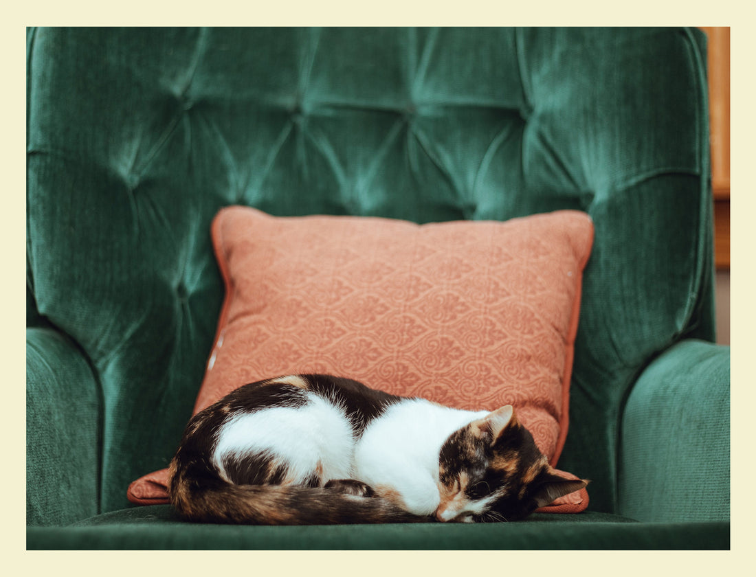 Pas op met die comfortabele bureaustoel